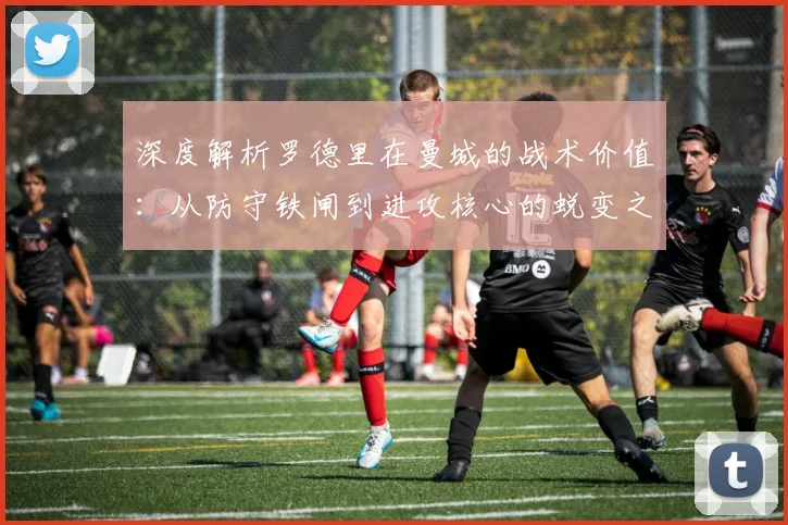 深度解析罗德里在曼城的战术价值:从防守铁闸到进攻核心的蜕变之路